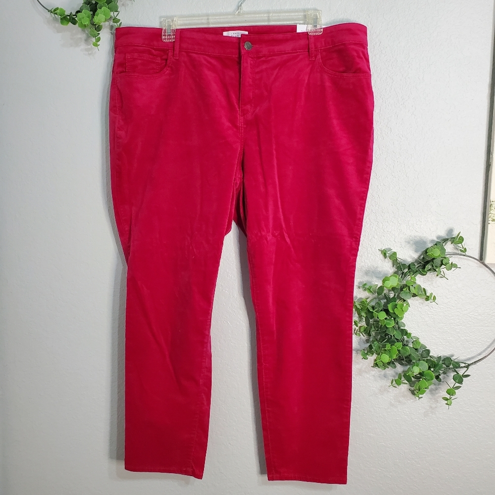 Loft Magenta (Dark Pink) Velvet Pants